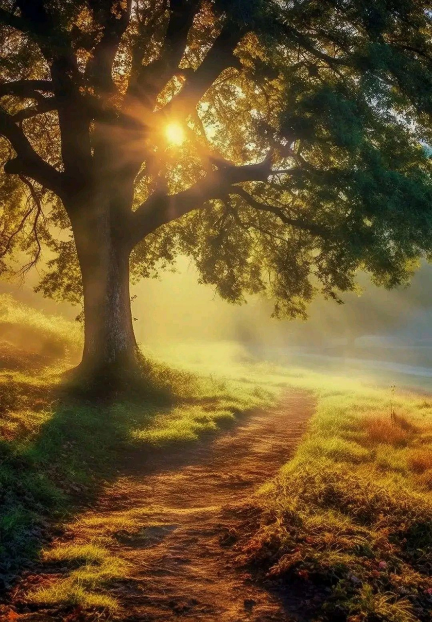 清晨,初升的太阳,霞光冉冉,万道金光铺洒,穿过晨雾,轻轻的照在脸上,也