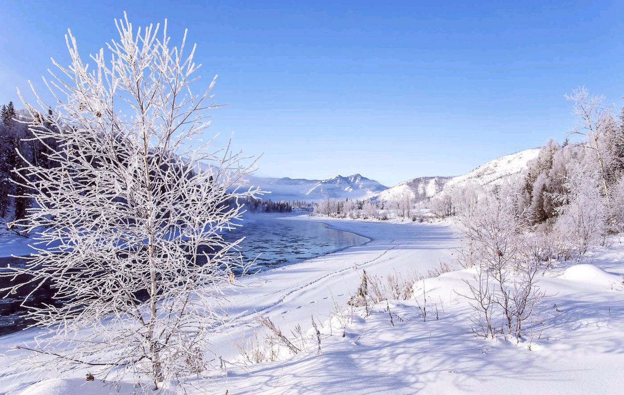 西伯利亚雪景图片图片