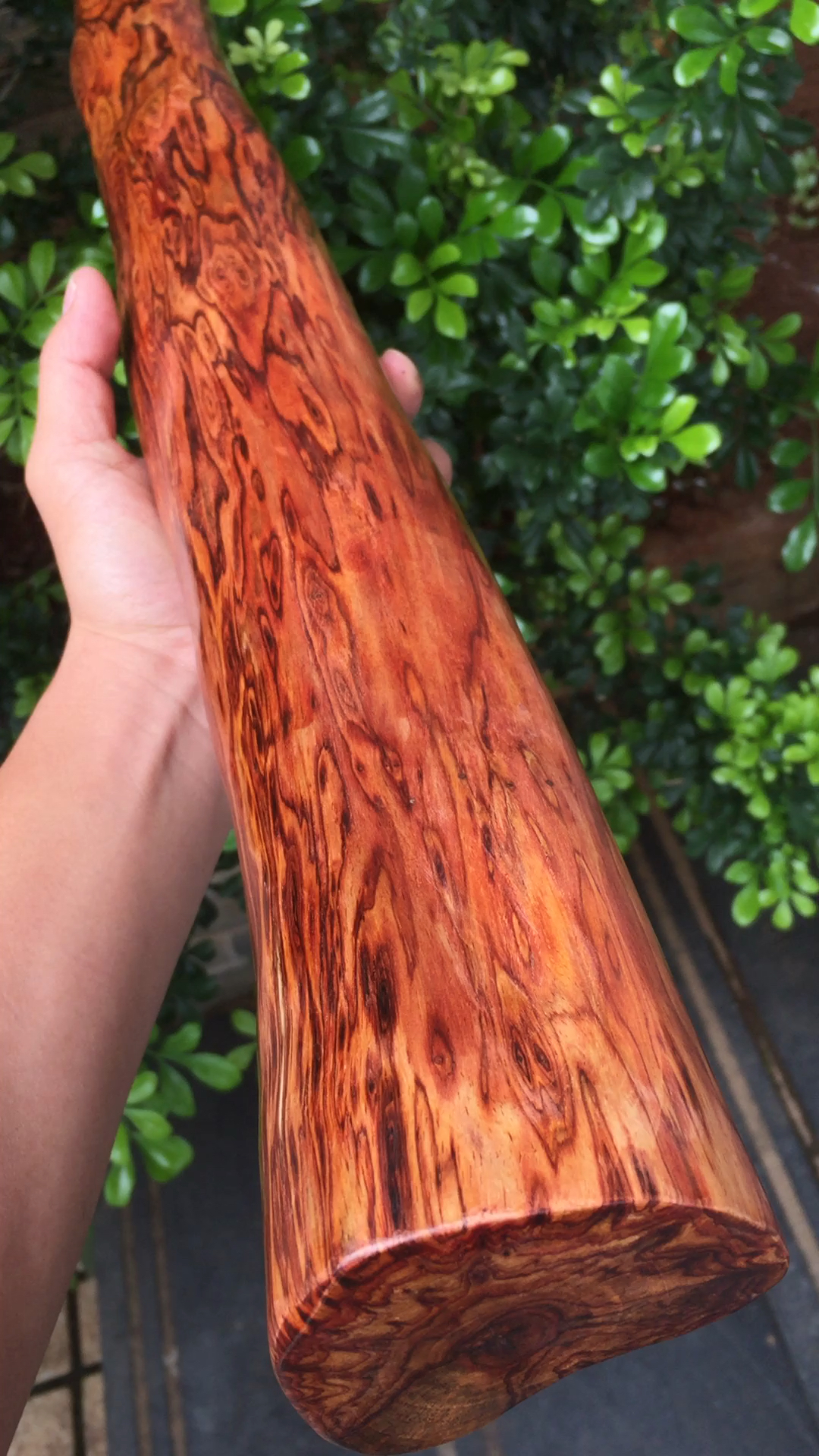 海南黄花梨鬼眼芝麻点横财