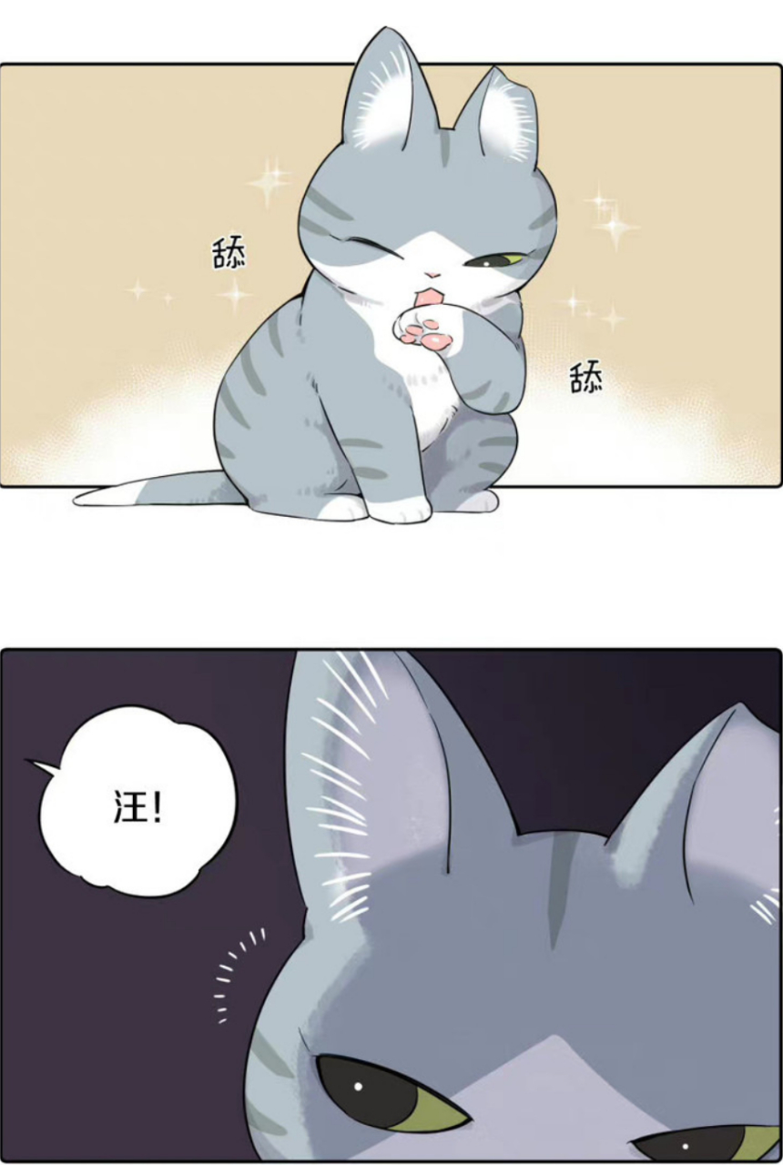 高冷猫猫vs热情狗狗! #漫画# #短漫#  作者:麻尾