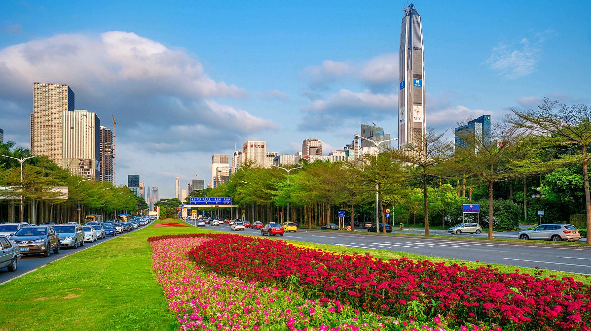 深南大道景观很漂亮,开满了鲜花!是一道靓丽的风景线!