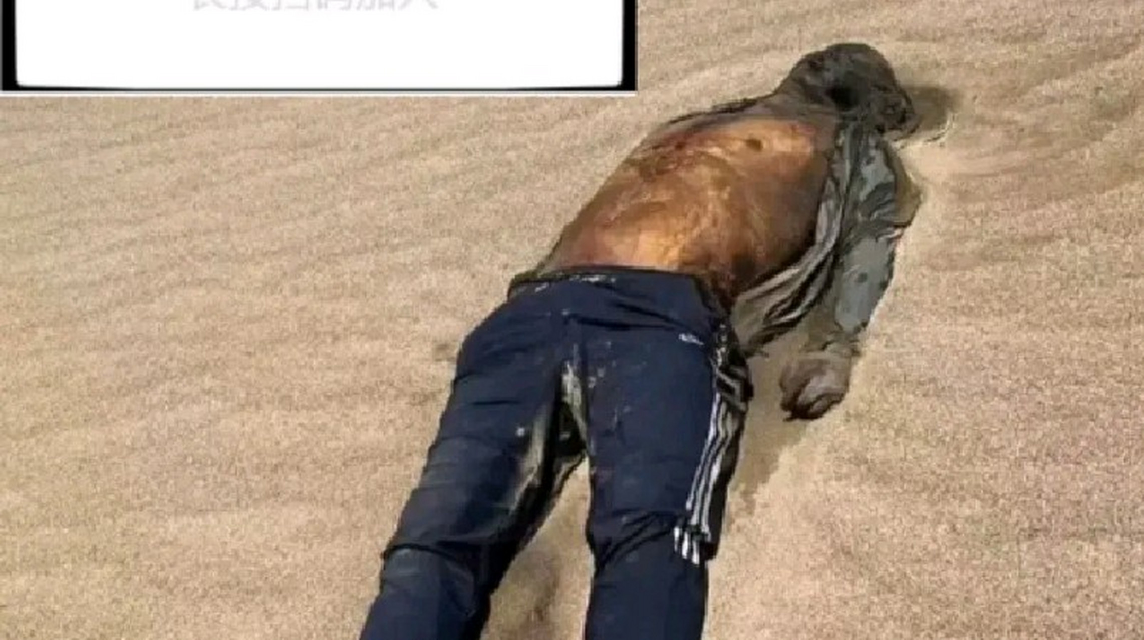 了,不过从视频来,裸露在身体之外的部位已经发黑,遗体已经出现了腐败