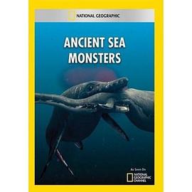 《 远古海洋怪兽》传奇物品不显示名字怎么办