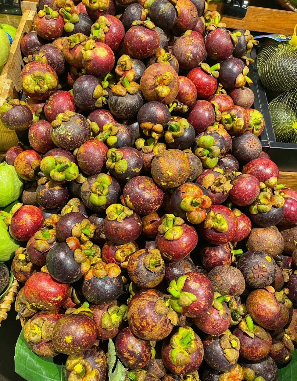 我们附近的野杨桃树上的杨桃熟透了,一些被小鸟吃掉了,有些熟透的掉到