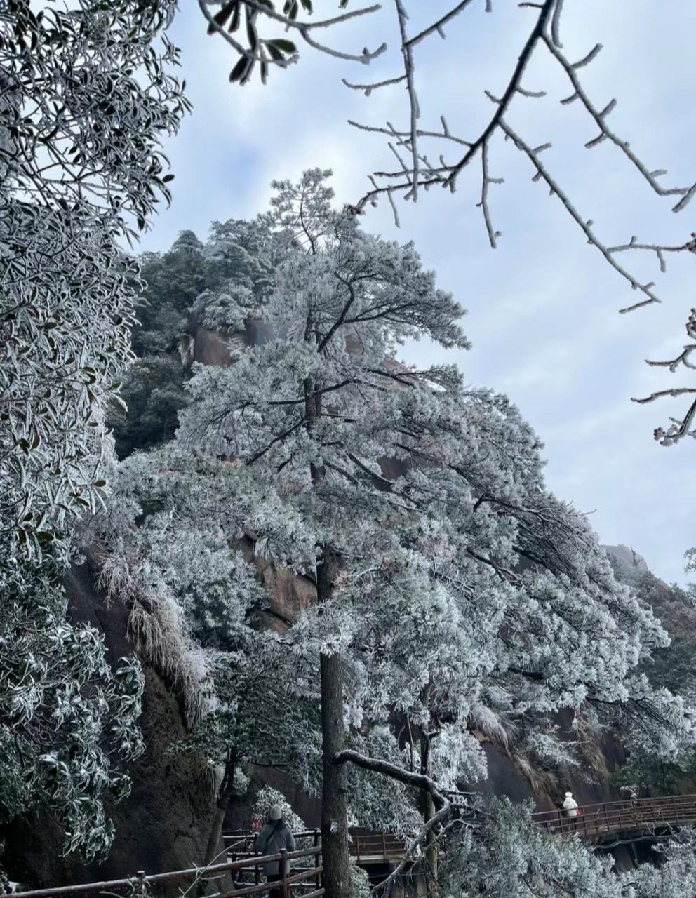 三清山下雪图片