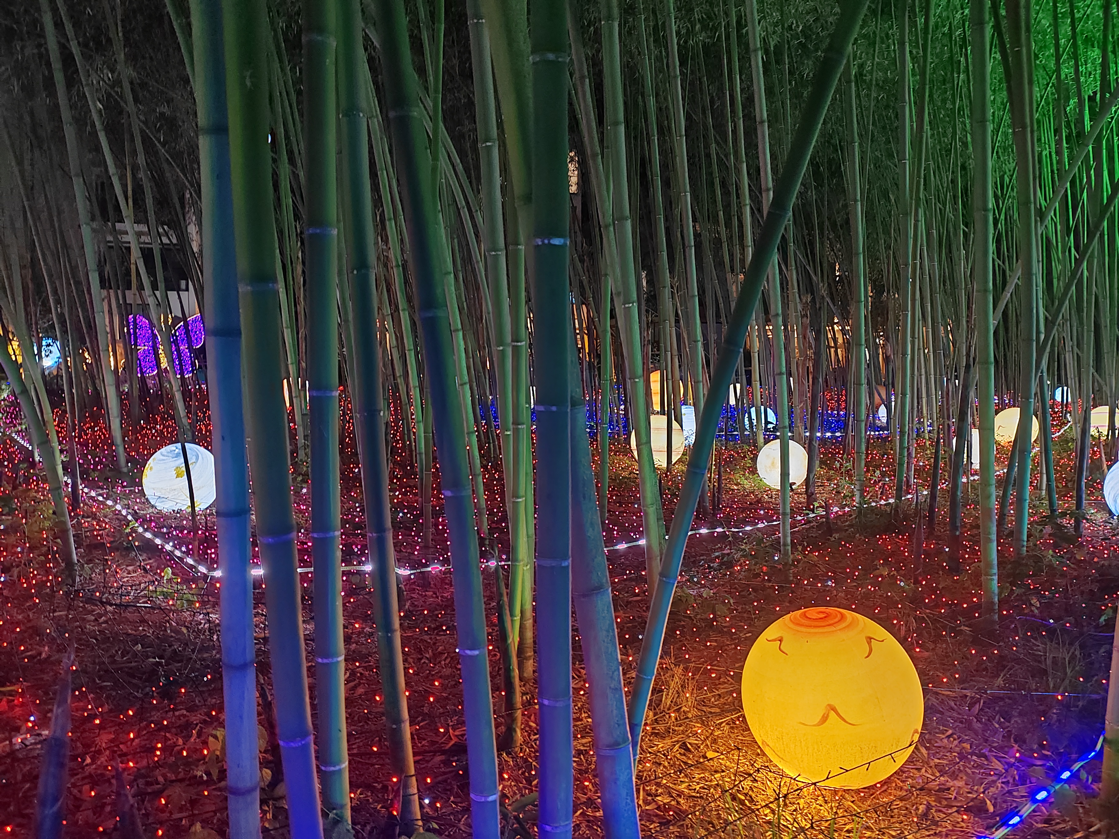 重渡沟夜景美如画