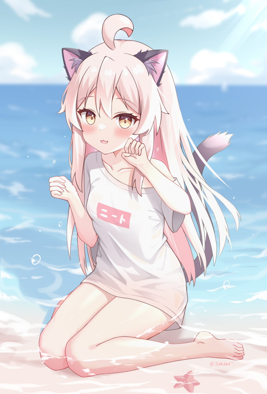 在海滩上的可爱猫耳娘#二次元#  画师: 緋矢田優
