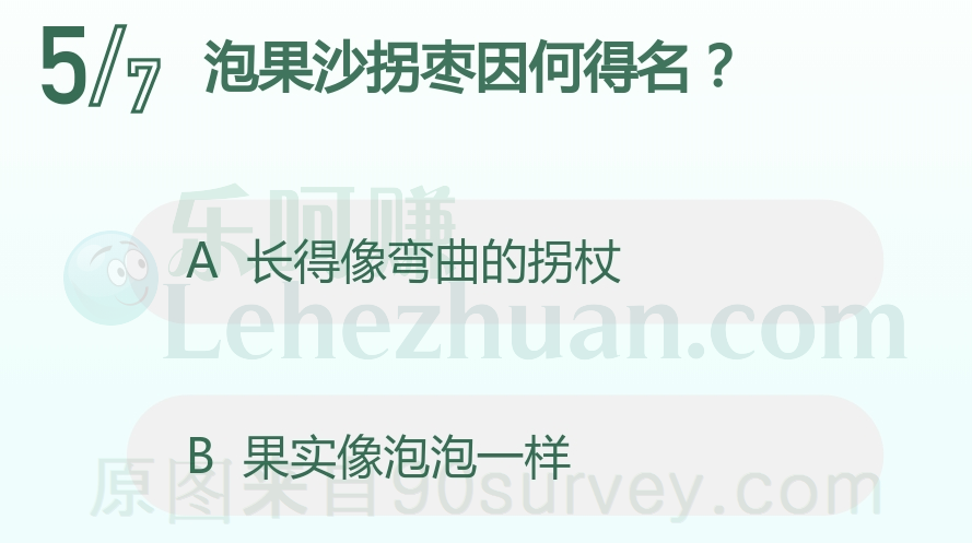 泡果沙拐枣的果实像泡泡一样 泡果沙拐枣的果实像泡泡一样