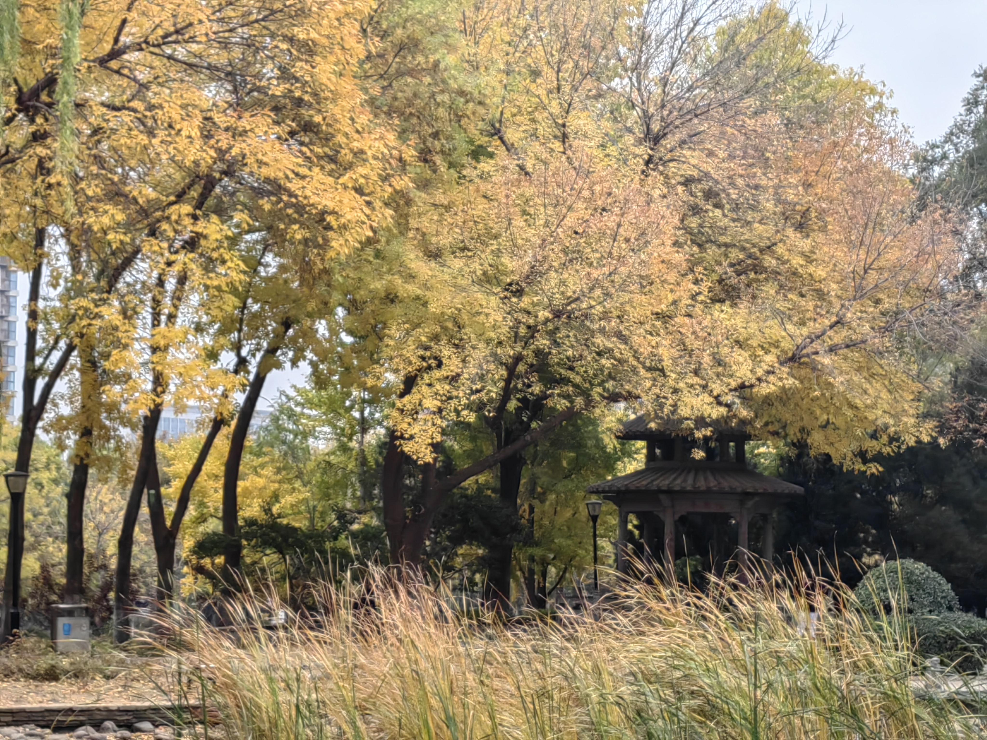 北京的秋天——玲珑公园