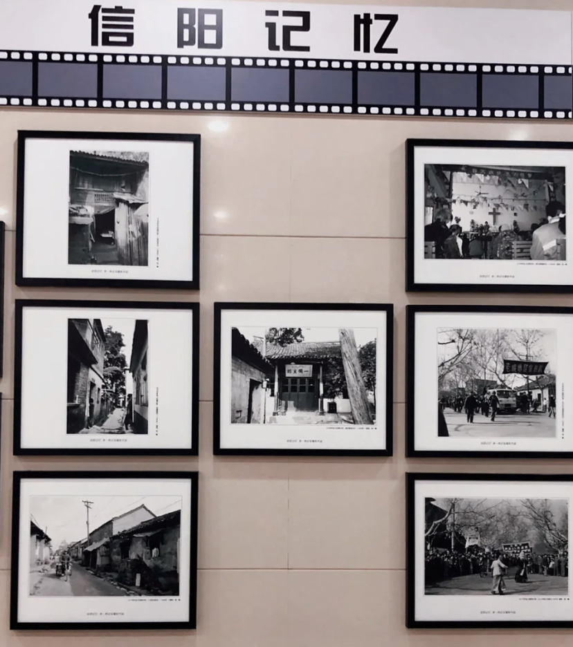 来信阳博物馆,一起瞧瞧历史吧!