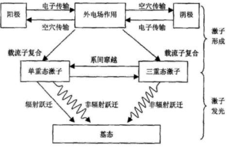 有机电致发光器件中激子形成和辐射发光的过程图