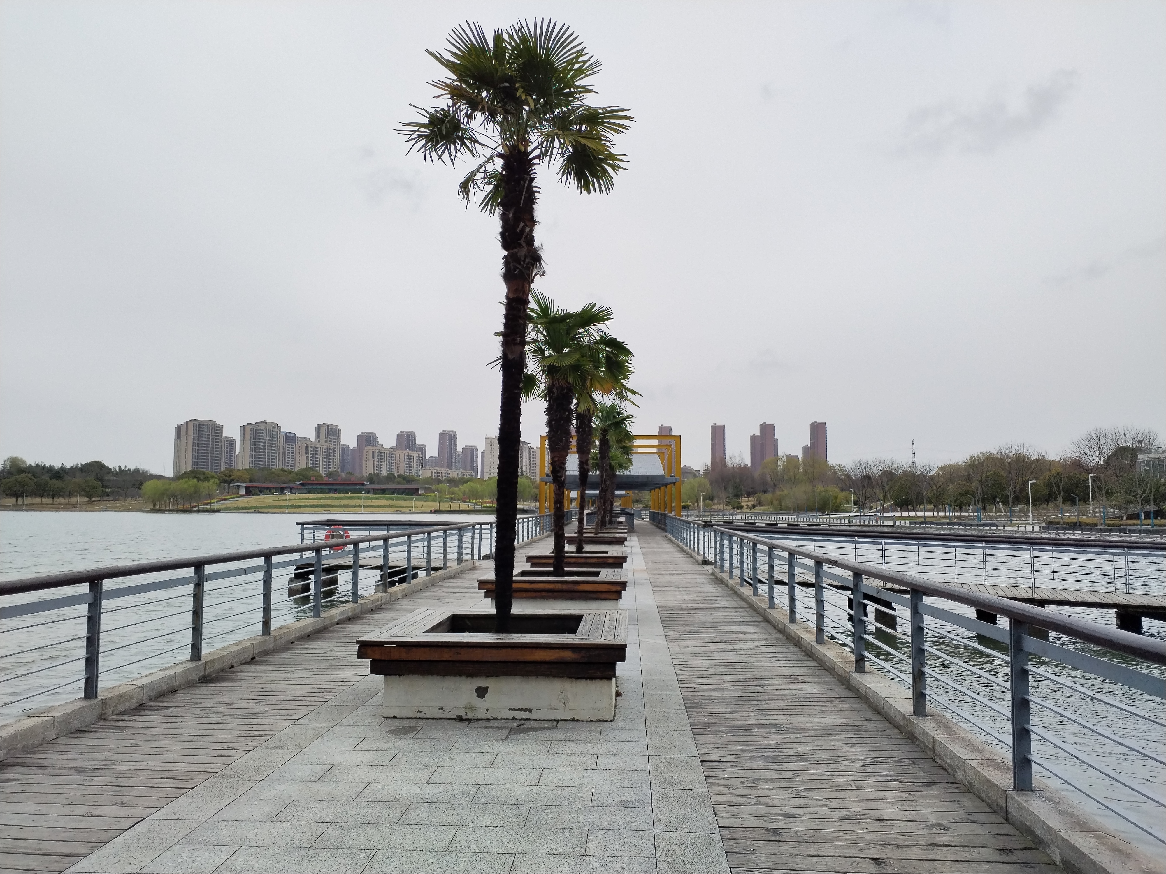 春日里的苏州白塘公园,你去打卡了吗?