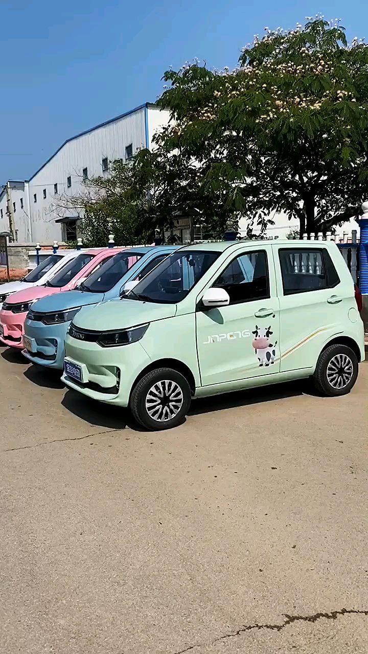 金彭艾咪四轮电动车家用