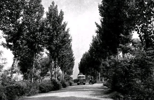 老照片:山东临沂80年代,临沂生活的难忘记忆