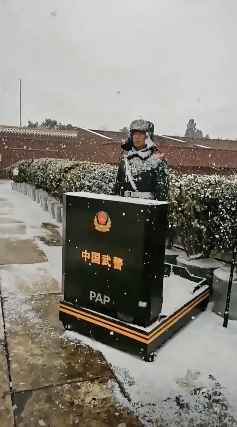 雪天军人站岗图片图片