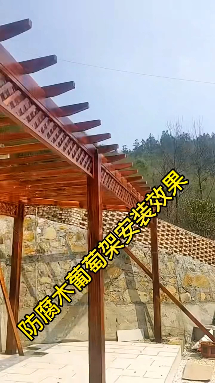 葡萄架安转效果图