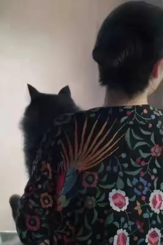 画家‖卯野和宏uno kazuhiro