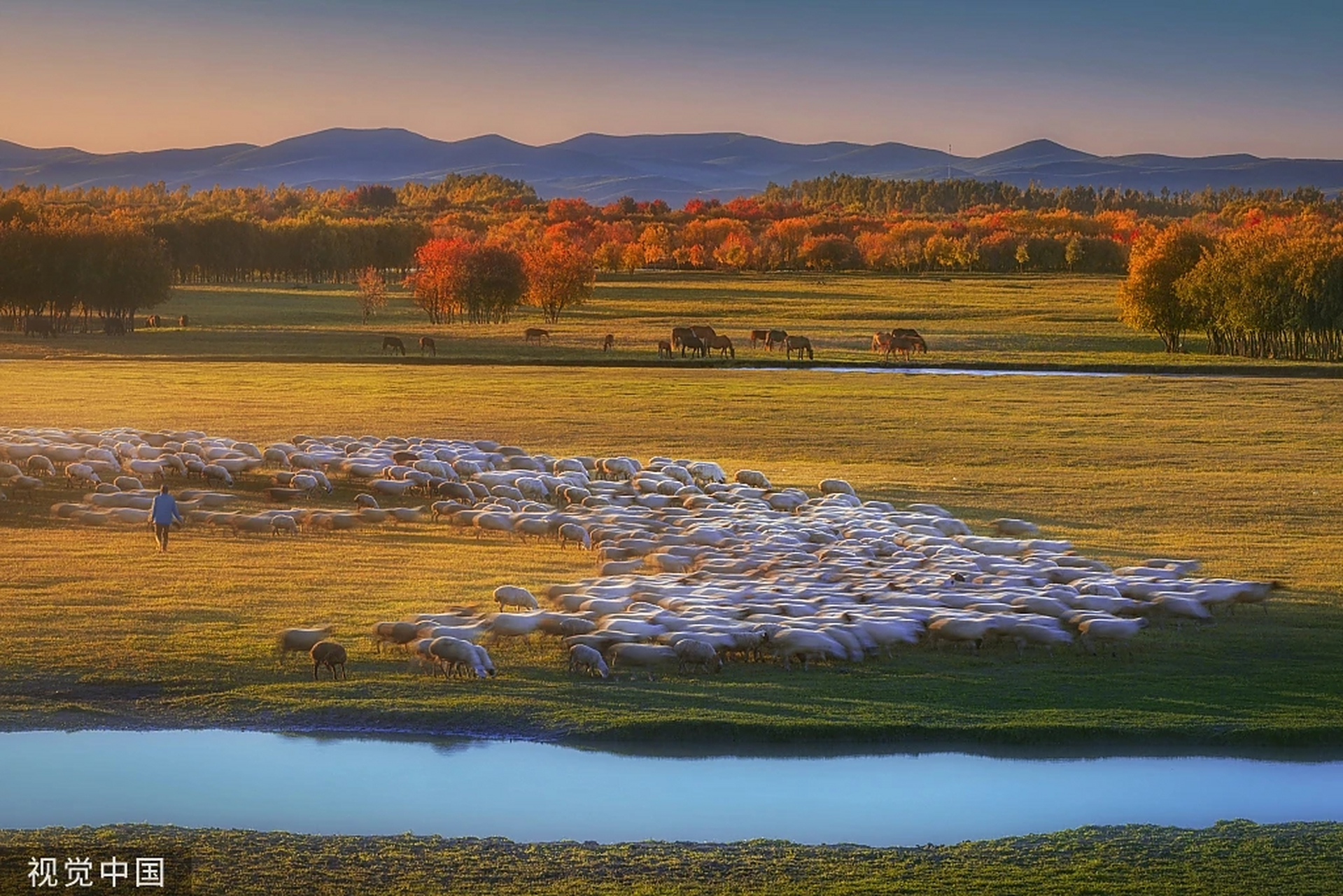 今天刚立秋,那些不容错过的秋天的好风景