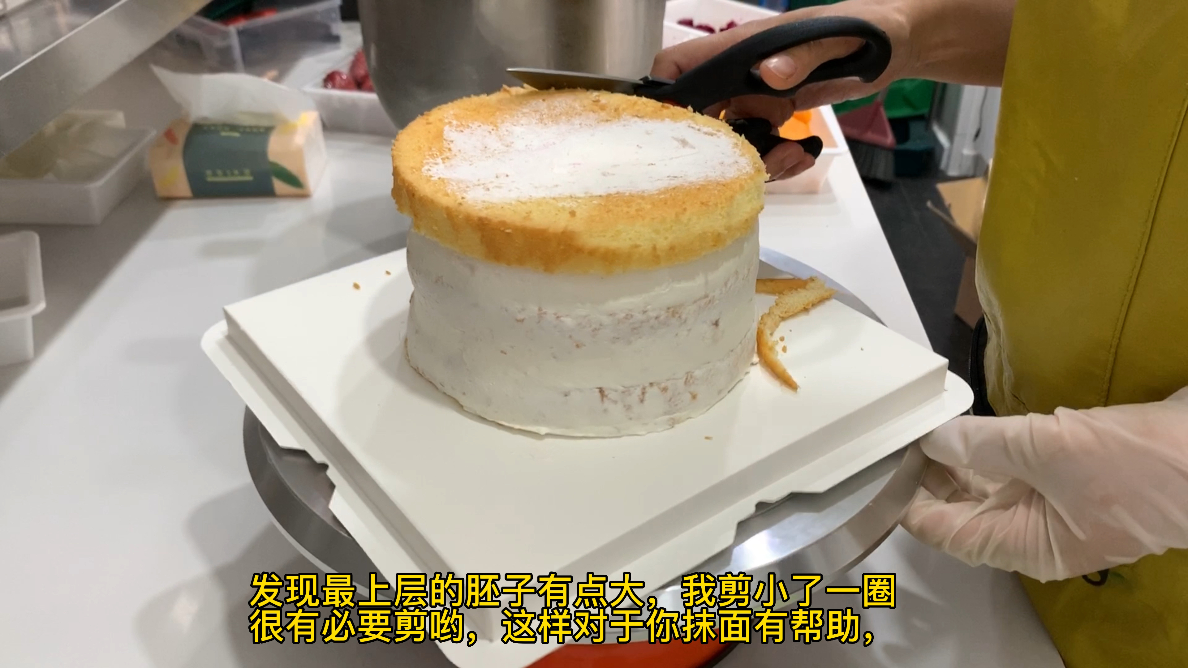 动物奶油水果装饰,解说内容超多蛋糕细节,想学的快来看