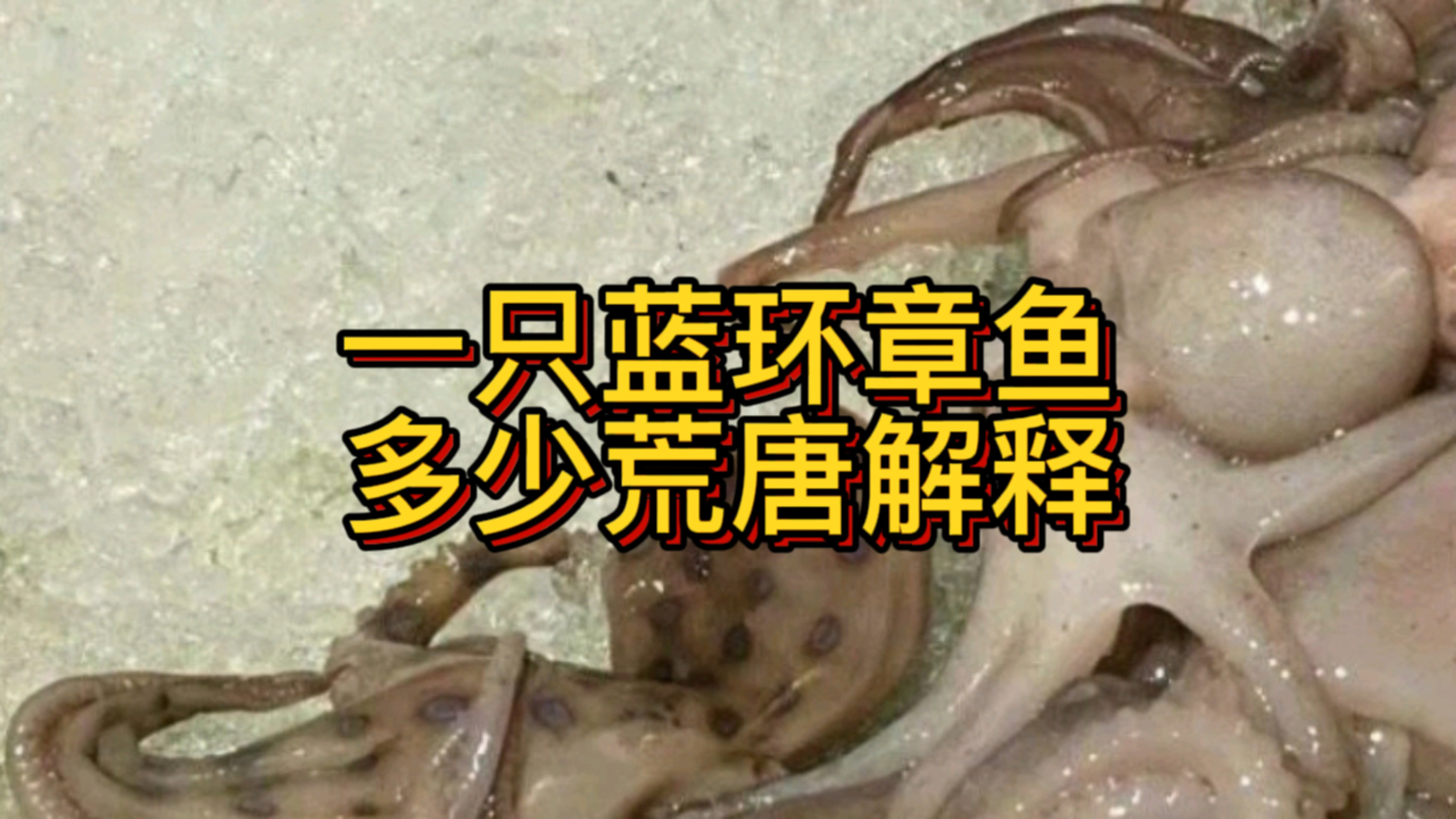 网友称买到剧毒蓝环章鱼,山姆会员店矢口否认,真相到底是什么?