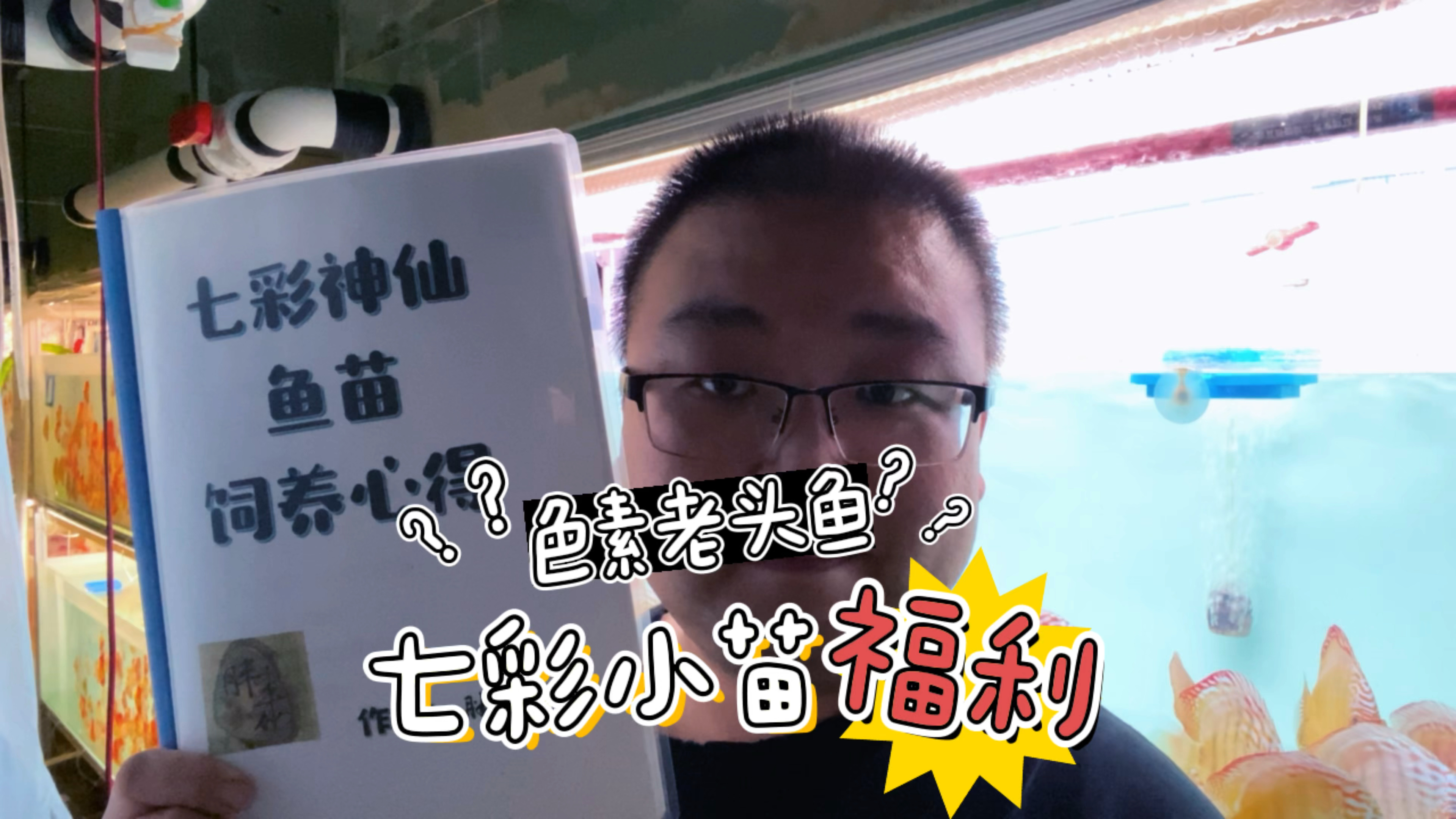 七彩神仙色素老头鱼小红妃福利走起。看我手上拿的啥,统统都送