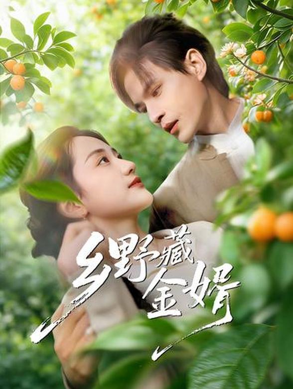 乡野藏金婿封面图