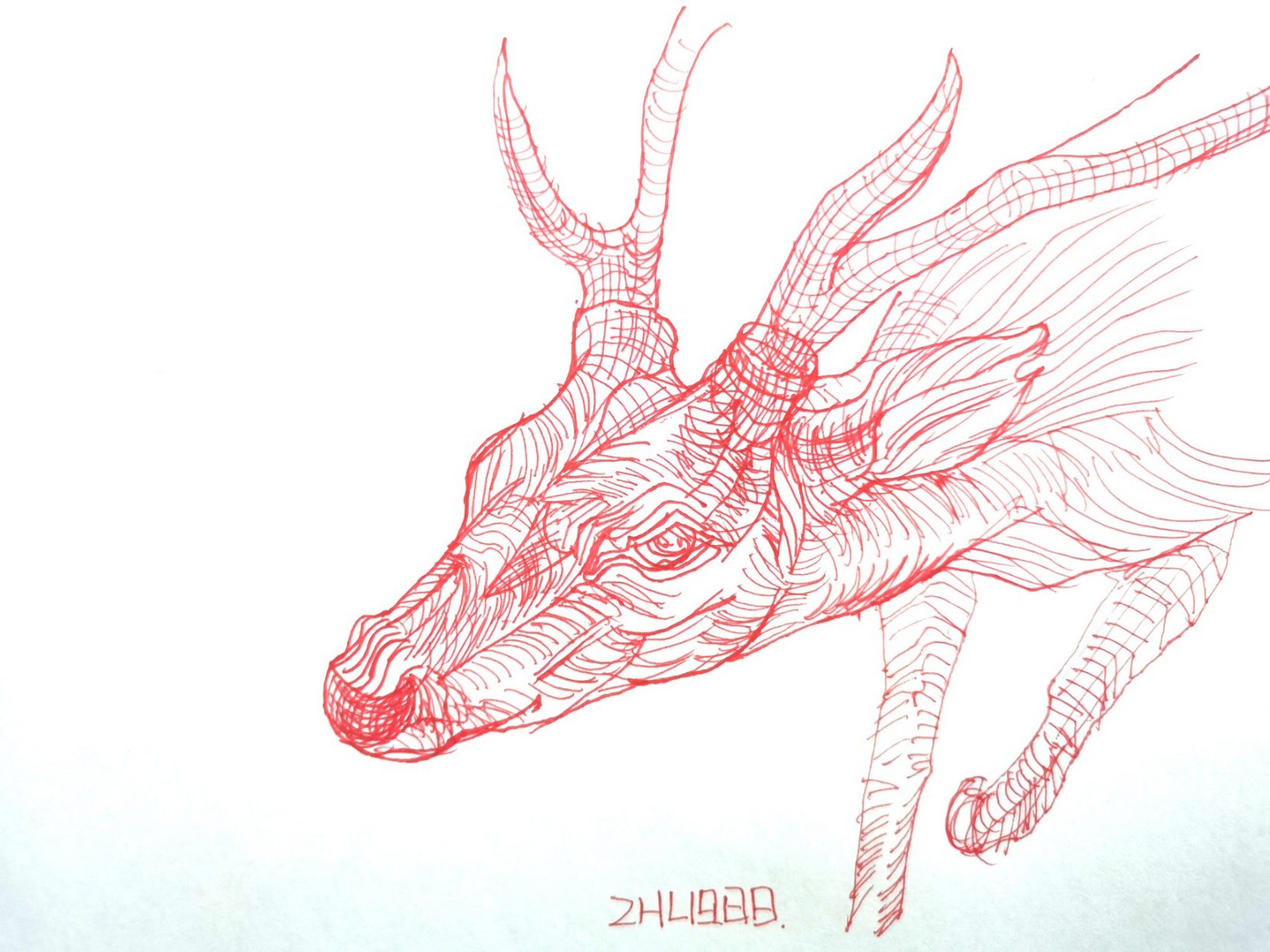 每日一画-2021-04-14-鹿的速写#鹿速写# #动物线描# #每日一画