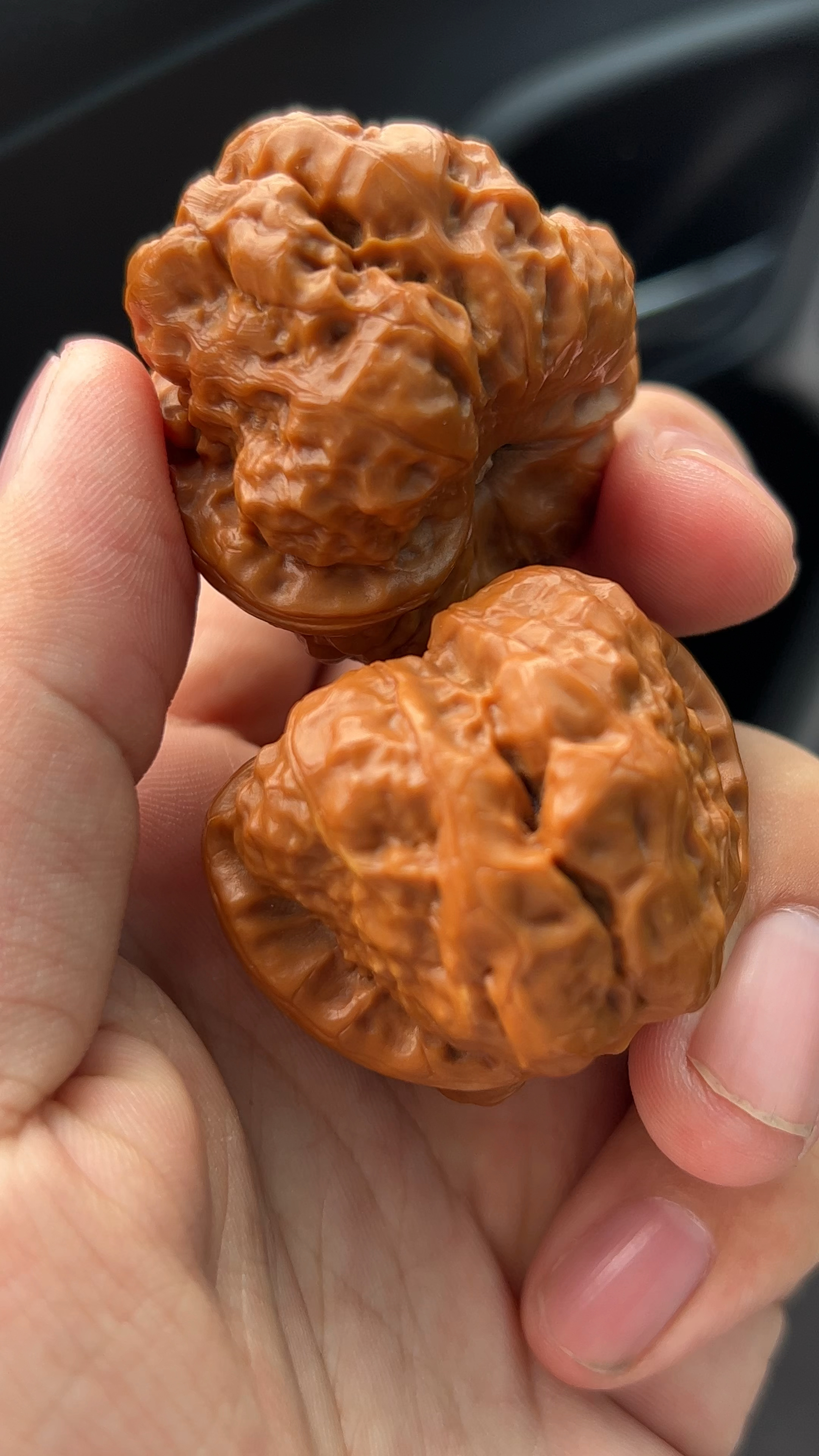 玉化皮质的延庆蛤蟆头