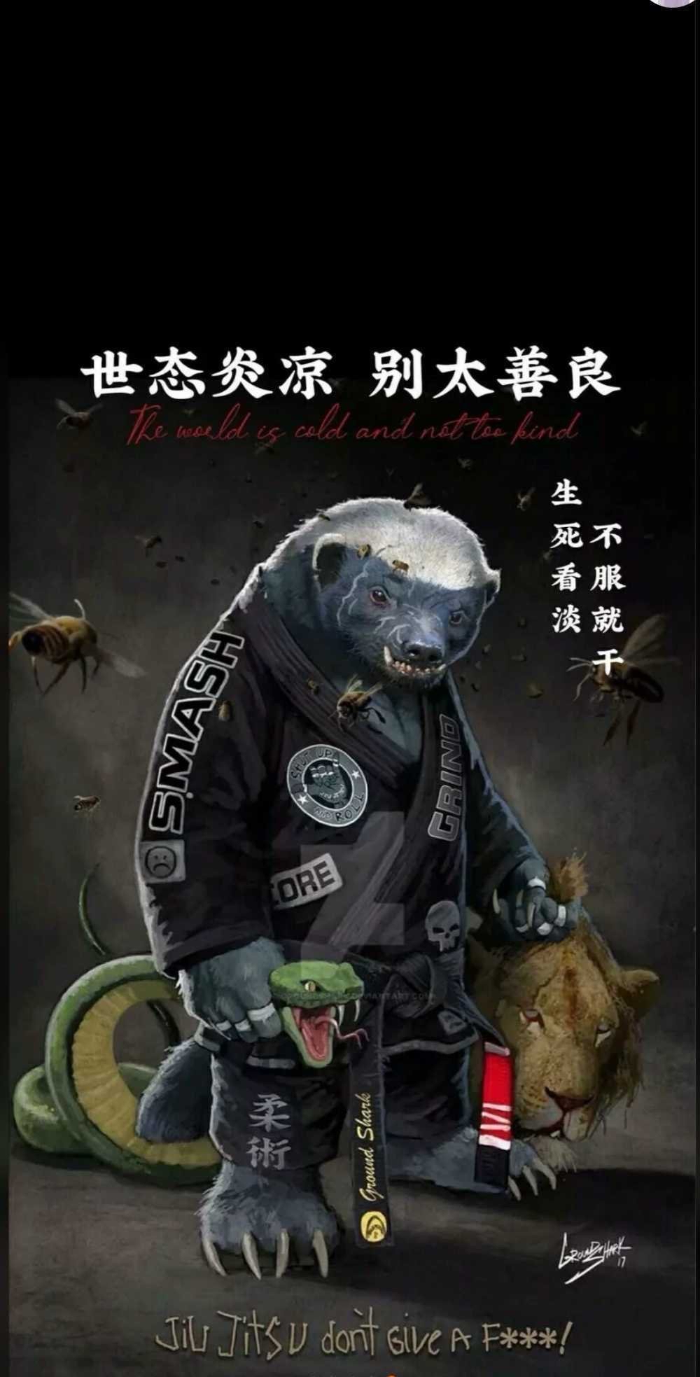 蜜獾图片手机壁纸图片