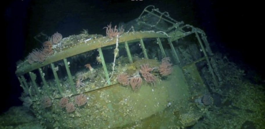 扶桑危楼高百尺,提督手可摘星辰,"违章建筑"的发展史