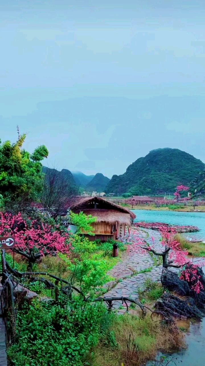 云南普者黑三生三世十里桃花开始基地