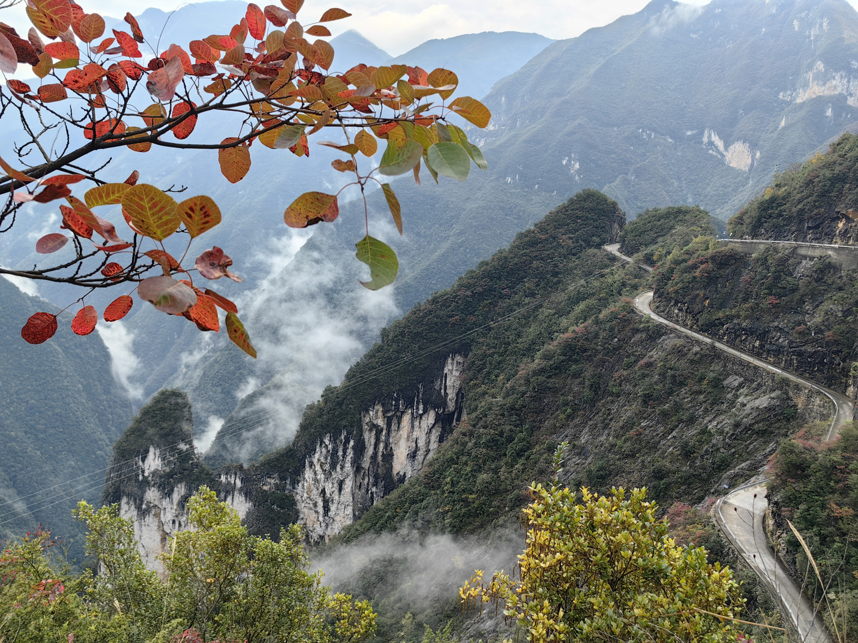 深秋的巫溪兰英大峡谷,满山红叶点燃了整片山谷,如诗如散文,如画如仙