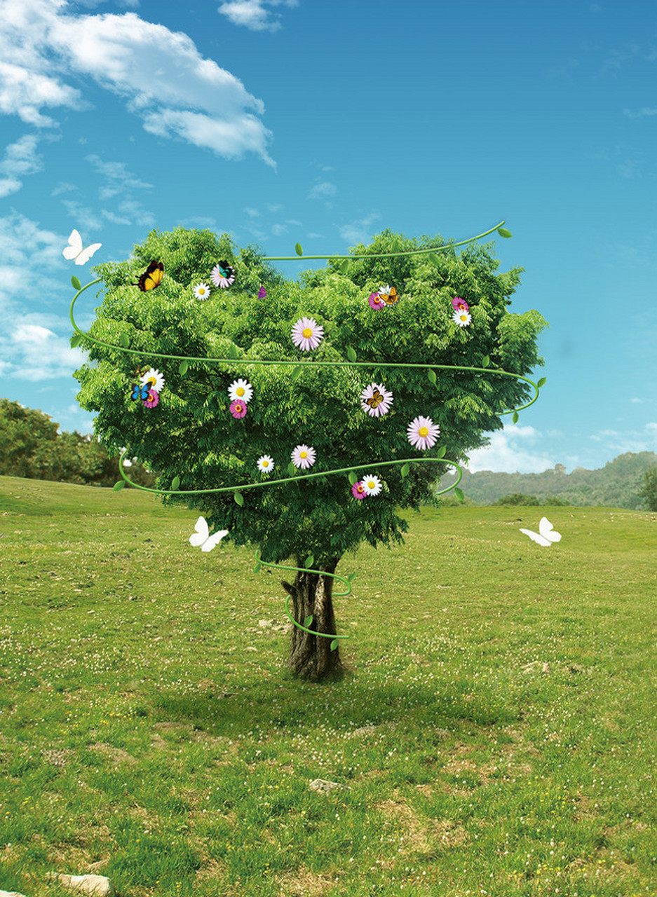 分享图片:一棵被修剪成爱心的树,提现了园艺师的实力和水平[赞同]