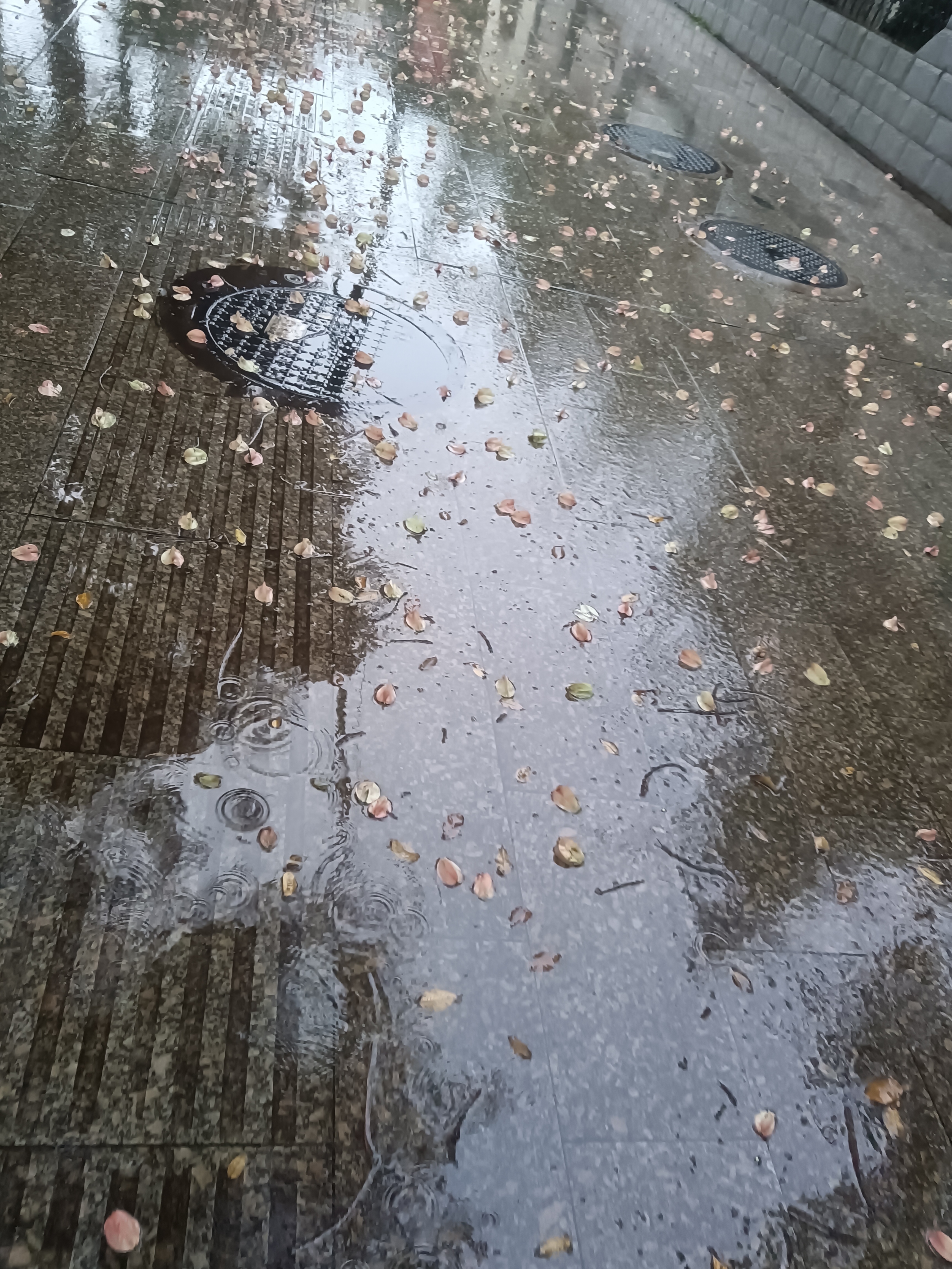 秋雨图片意境雨天图片图片