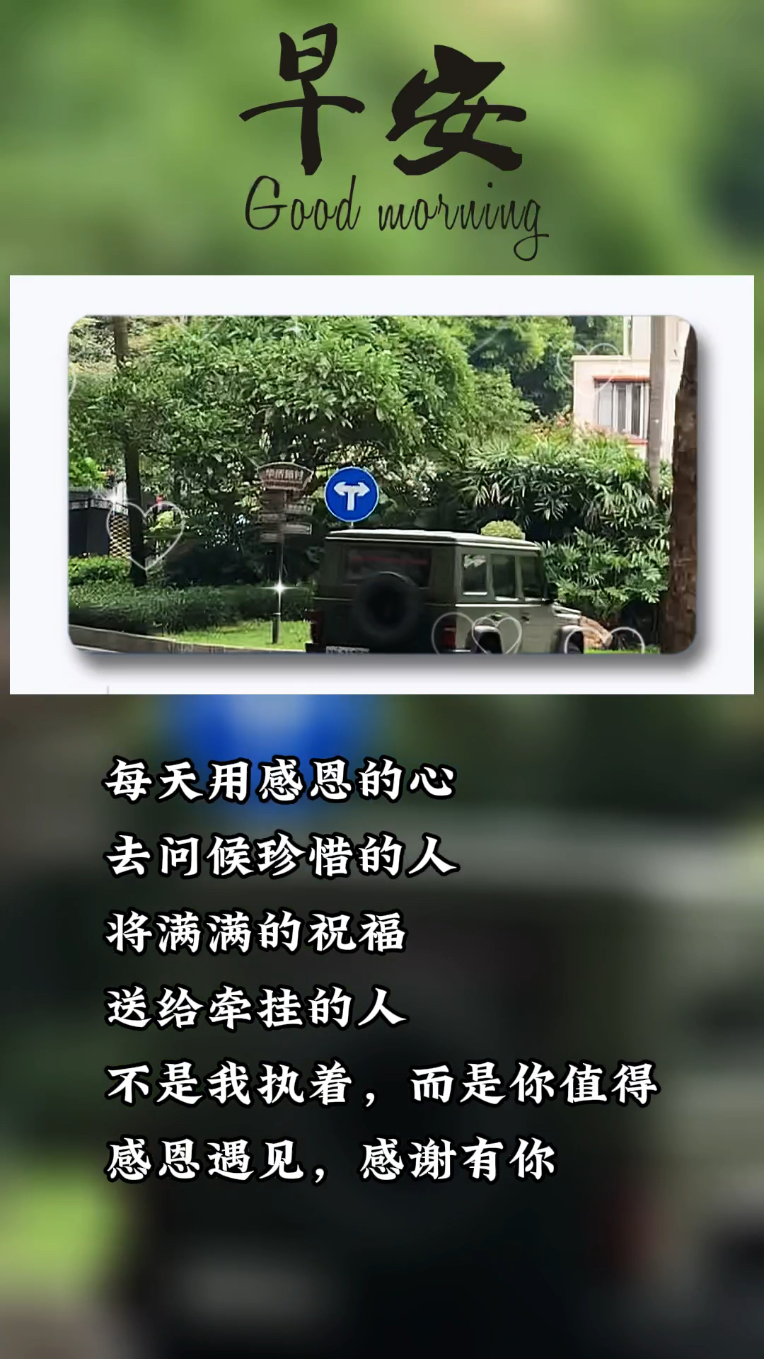 每天用感恩的心去问候和祝福值得珍惜和牵挂的人.感恩遇见!感谢有你