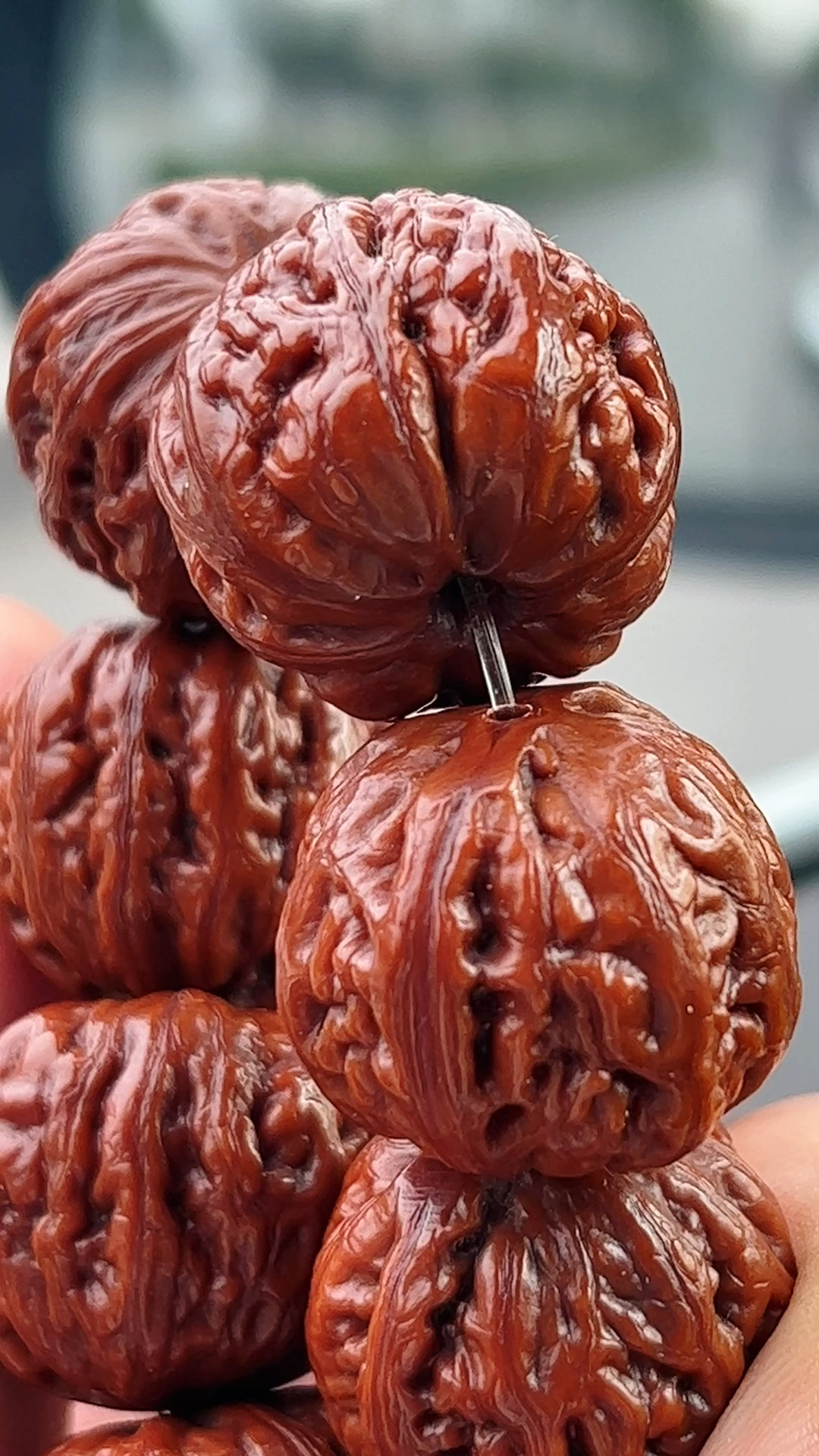 七年前正宗的京八棱小核桃