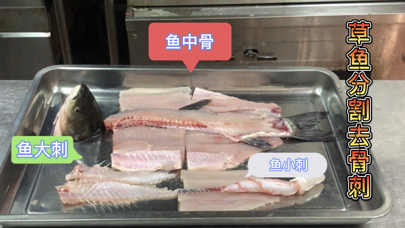全网最详细的,草鱼宰杀分割去骨去刺教程