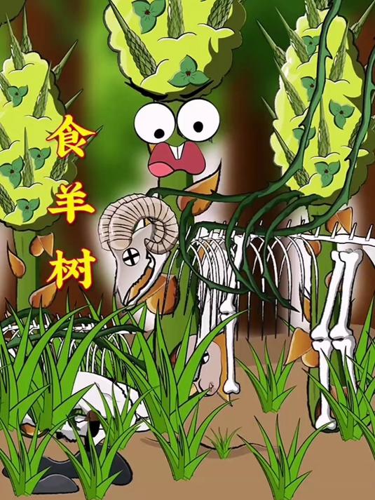 "食羊树"的有刺藤蔓将绵羊困住,腐烂后就可以吸收营养了!