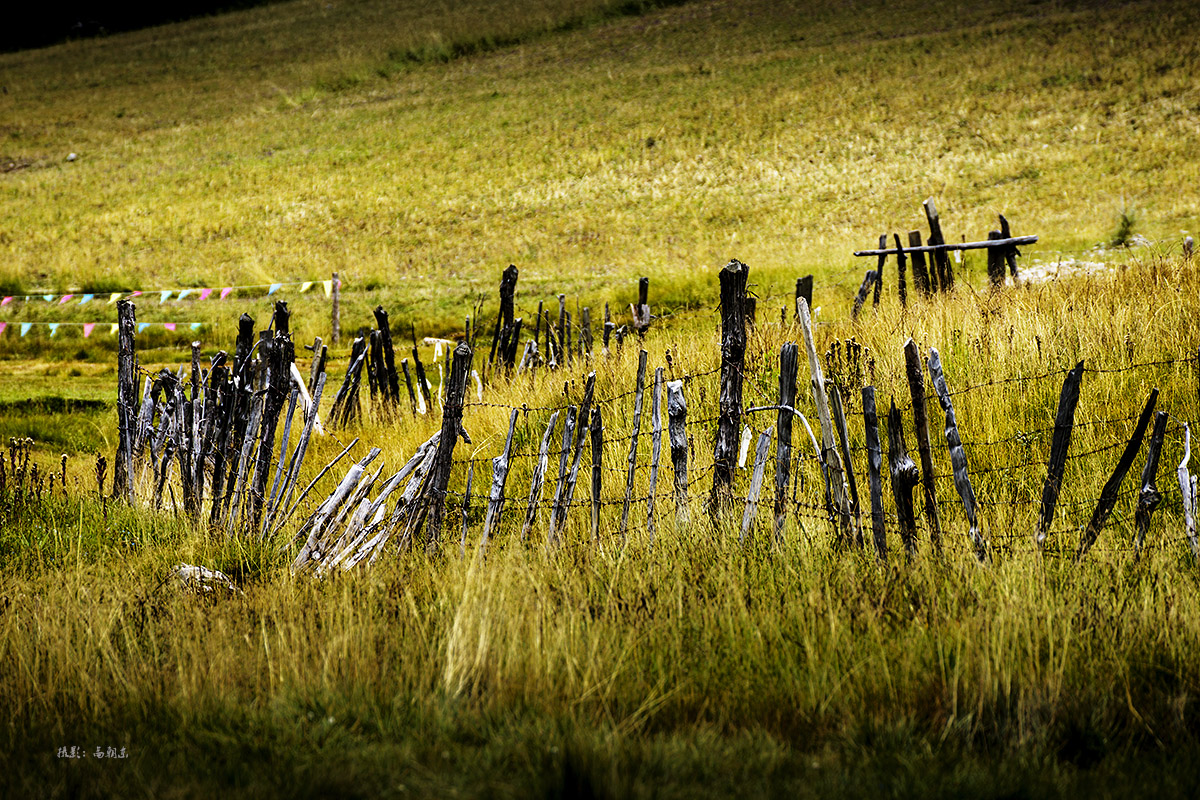 西藏类乌齐水堤村牧民收割牧草准备过冬