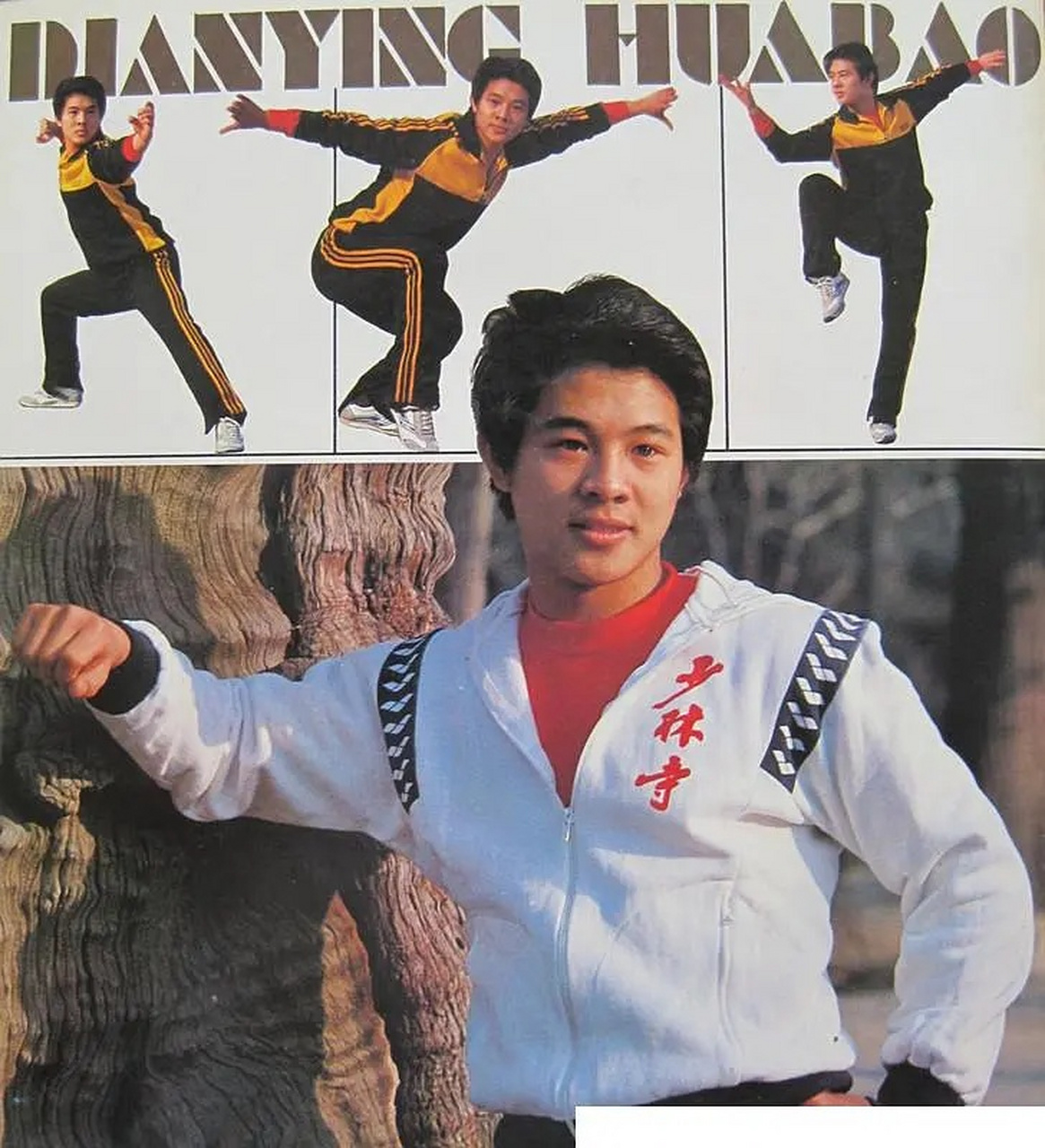 明星老照片:《少林寺》时期的李连杰,风华正茂.