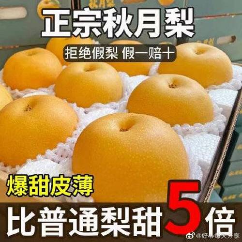 【拼多多】三红蜜柚子（2个）4.5-5斤【10.8】爆甜三红