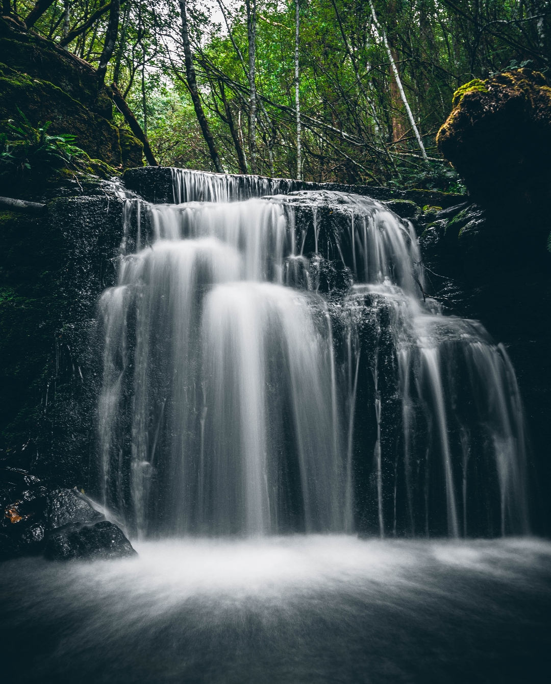 山水照片大全图片