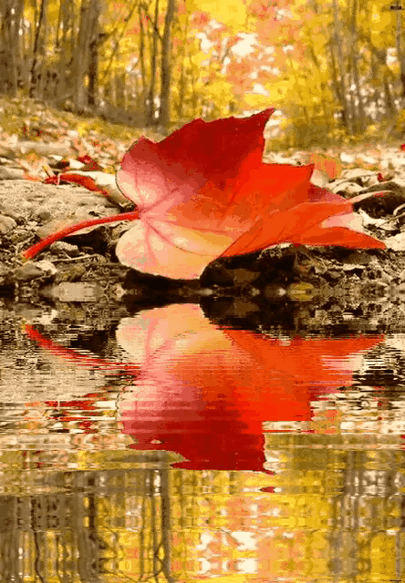 入秋生活窍门全攻略