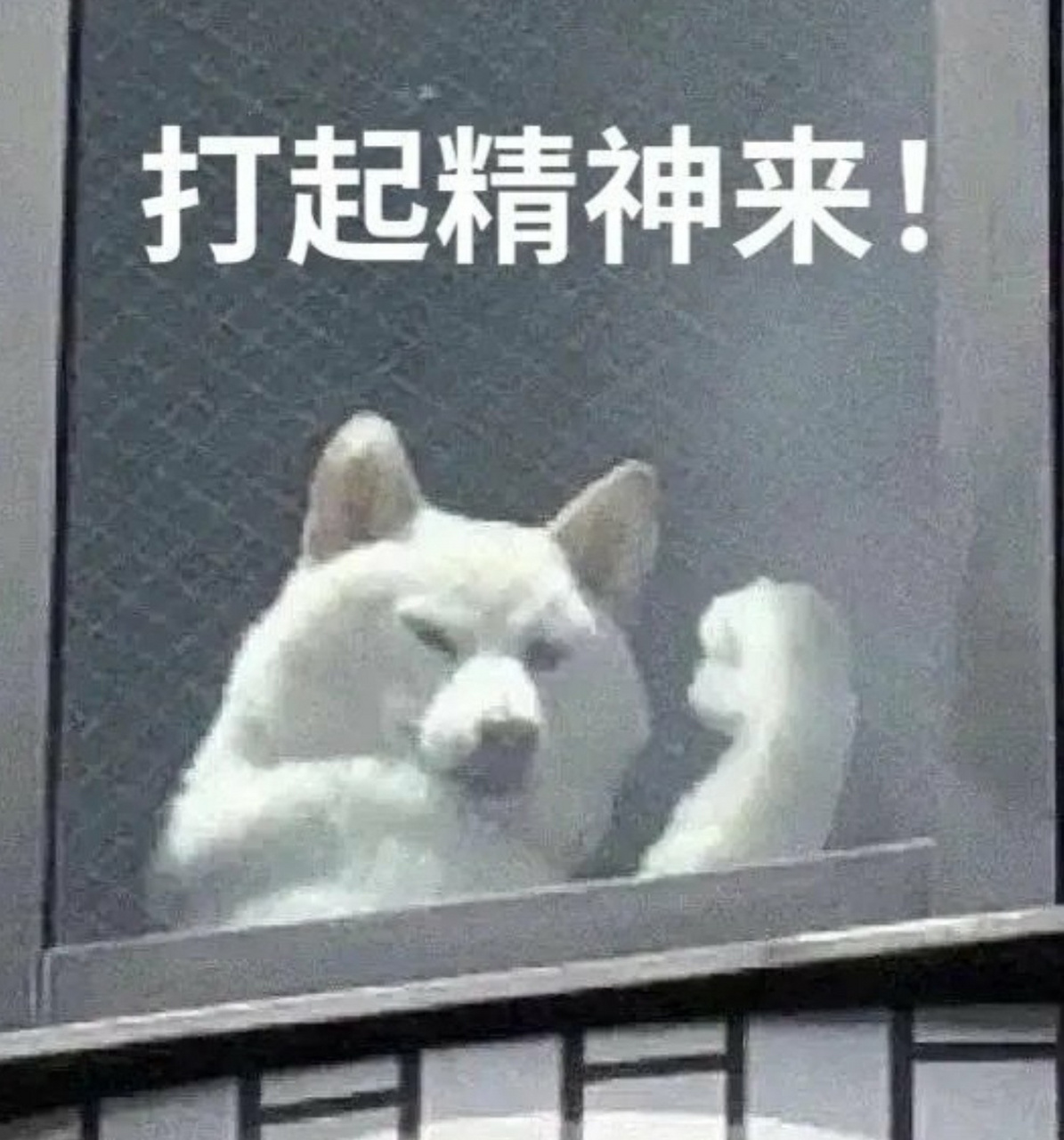 能代表我当下精神状态的一组表情包[泪奔][泪奔][泪奔]