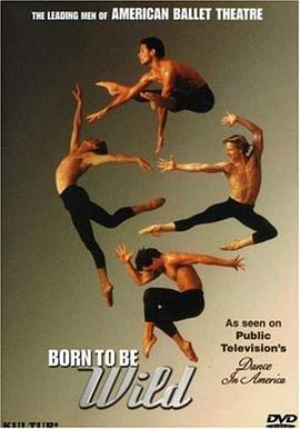 《 Born to Be Wild: The Leading Men of American Ballet Theatre》传奇里的装备大全