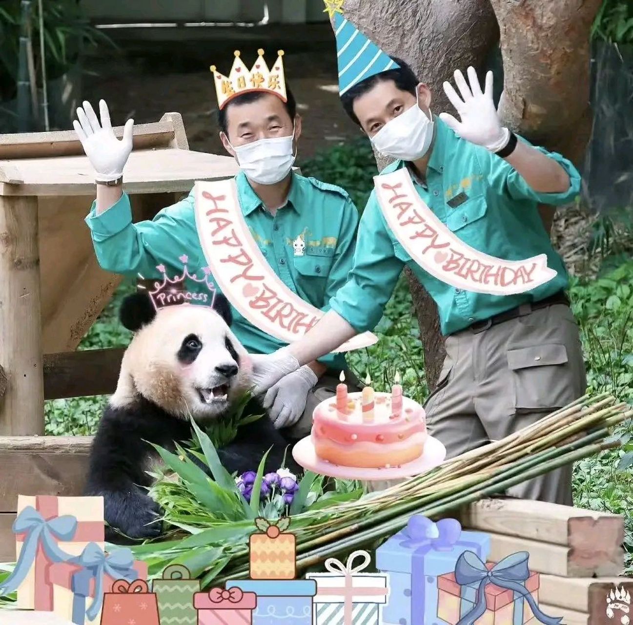 福宝和爷爷 姜宝和宋宝的小作文永远这么暖心7815瞬间泪目 福宝