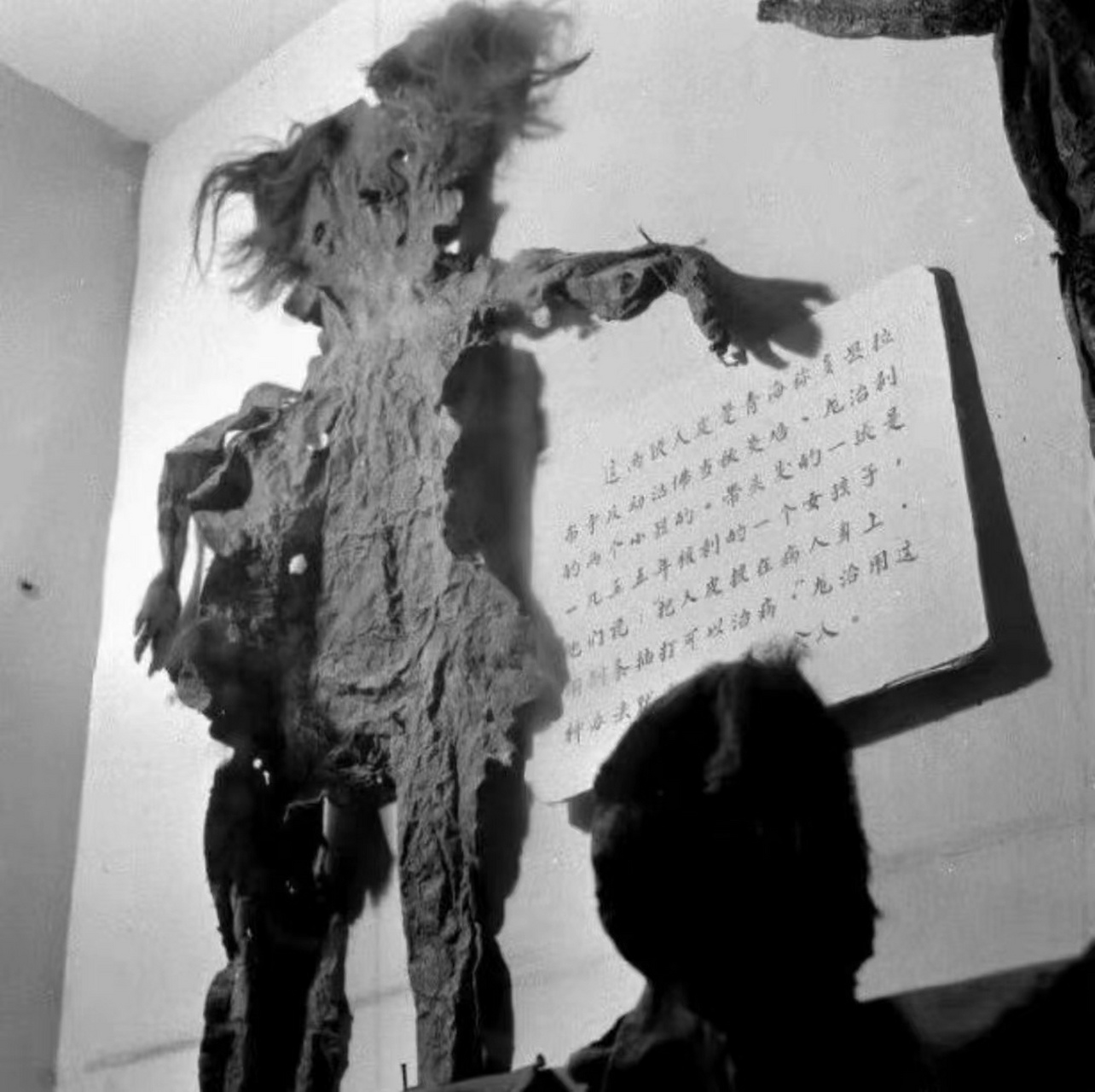 1959年,青海称多县拉布寺里展出的两张少女人皮的其中一张.