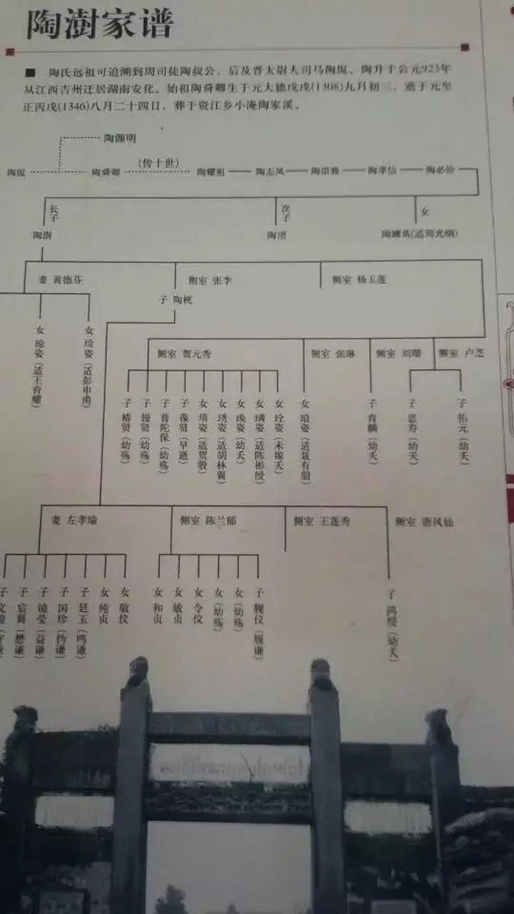 林则徐关系网图片