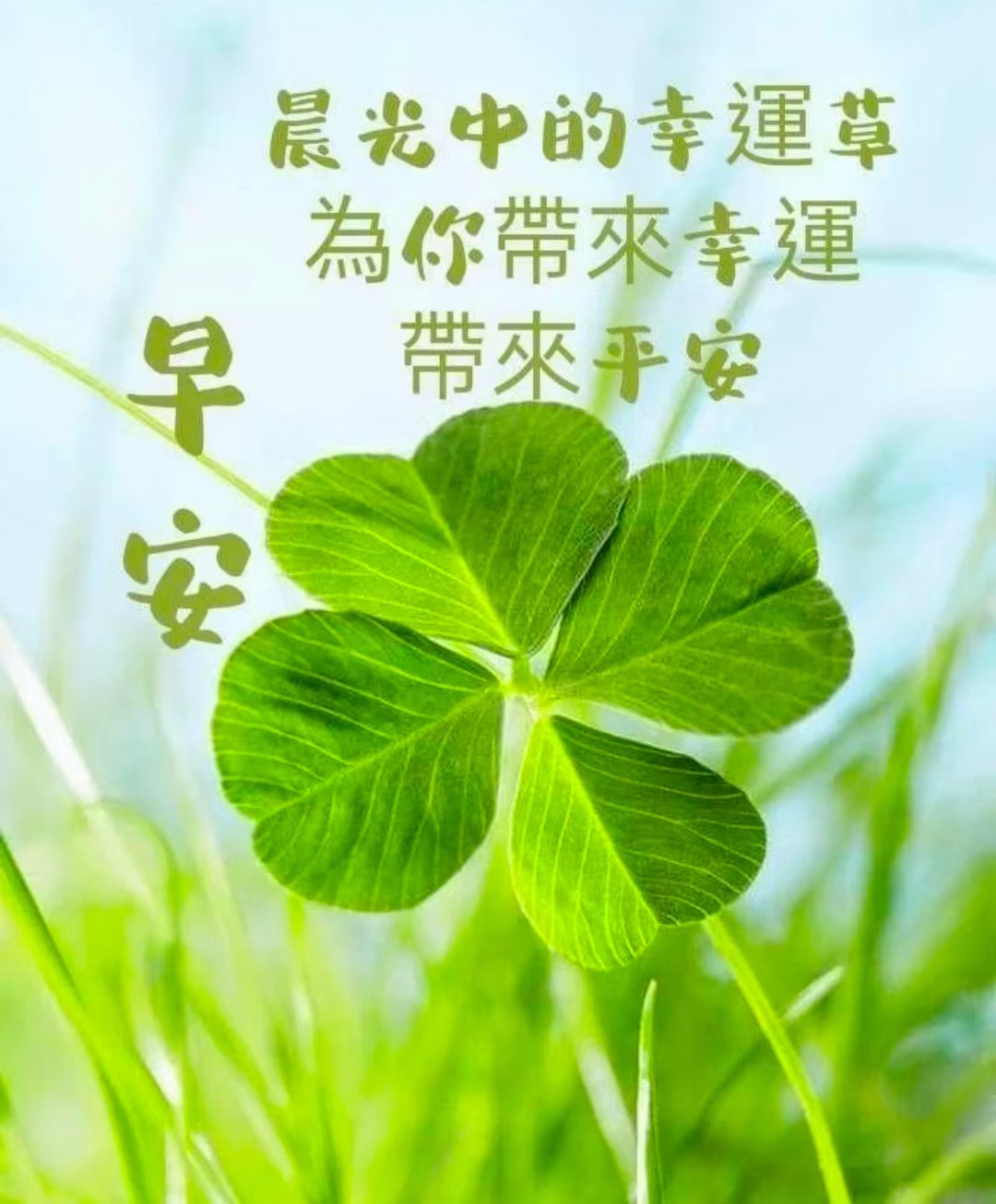 愿往后的你不必取悦任何人依旧活的美丽愿你善良得有