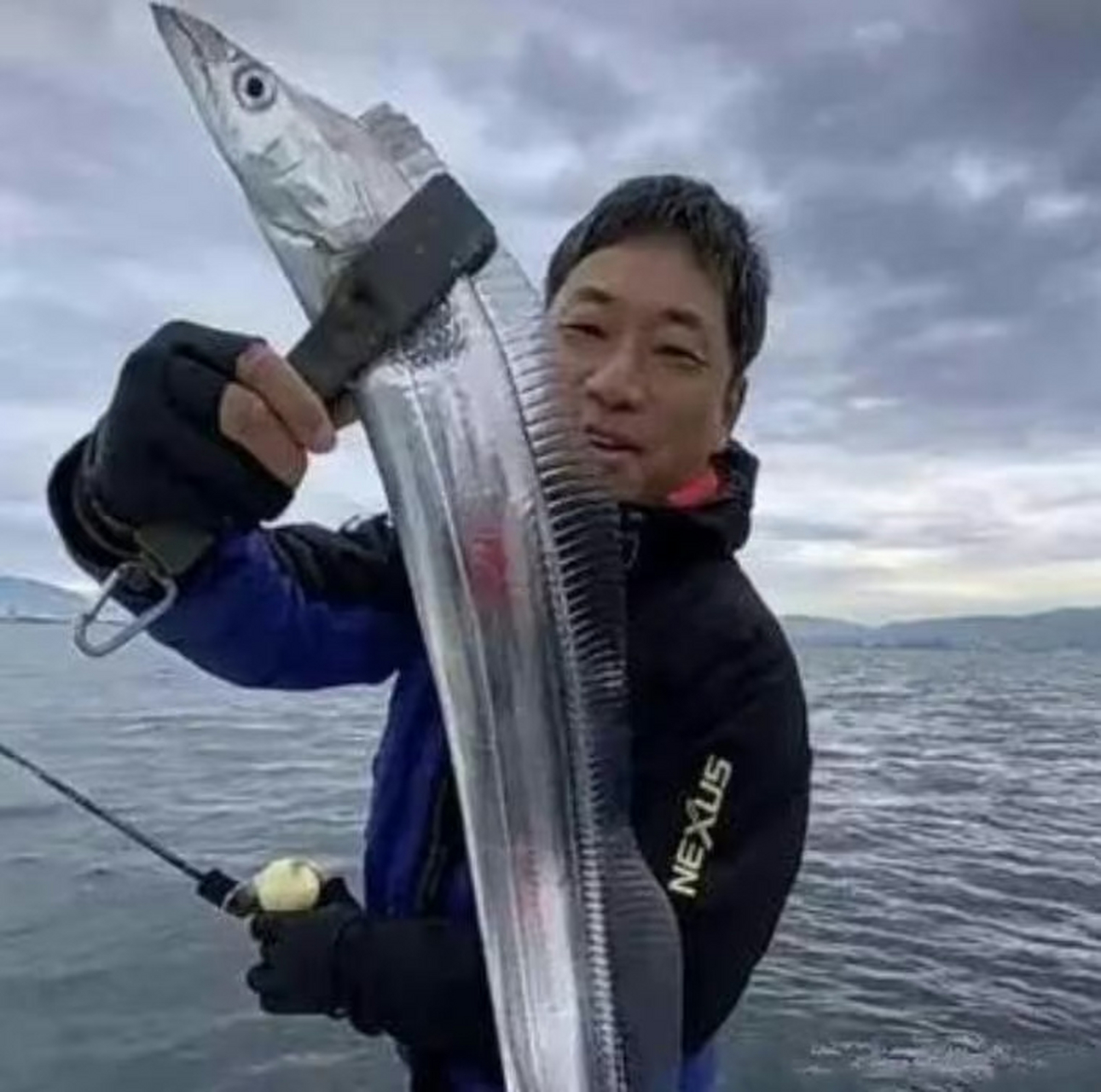 漂亮的刀片鱼,就是不知道口感怎么样
